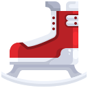 Ice skating shoes