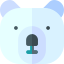 urso polar