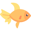 pesce rosso
