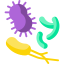 bactérias