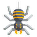 spinne