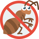 No bugs