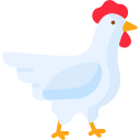 Hen