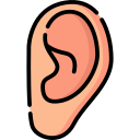 Ear