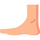 Foot