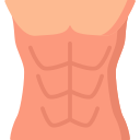 Abs