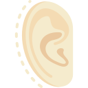 Ear