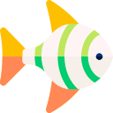 물고기