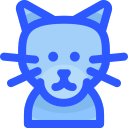 gatto blu russo