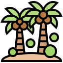 orzech kokosowy