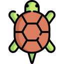 schildkröte