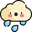 雨