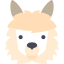 llama