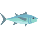 tuńczyk