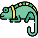 caméléon