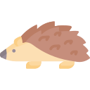 Hedgehog