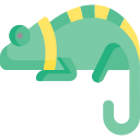 caméléon