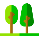 forêt