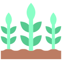 rośliny