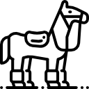 pferd