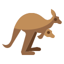 Kangaroo