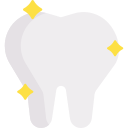 歯