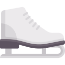 아이스 스케이팅 신발