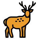 Reindeer