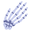 Hand bones