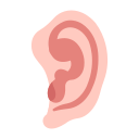 orelhas