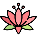 flor de lotus