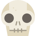le crâne