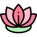 lotus blume