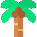 palm