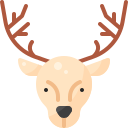 Christmas reindeer