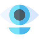 bioniczne oko