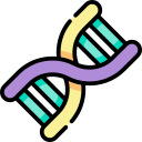 Dna