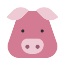 schwein