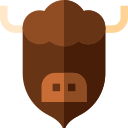 bizon