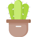 Plant pot