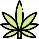 marijuana