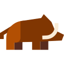 Boar