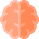 menselijke brein