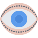 Eye