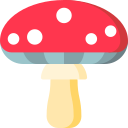 champignon