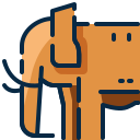 elefant