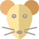 głowa szczura