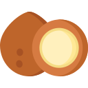 kokosnuss