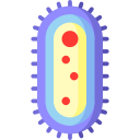 bacteriën