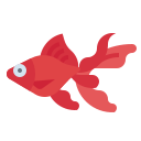 pez de colores